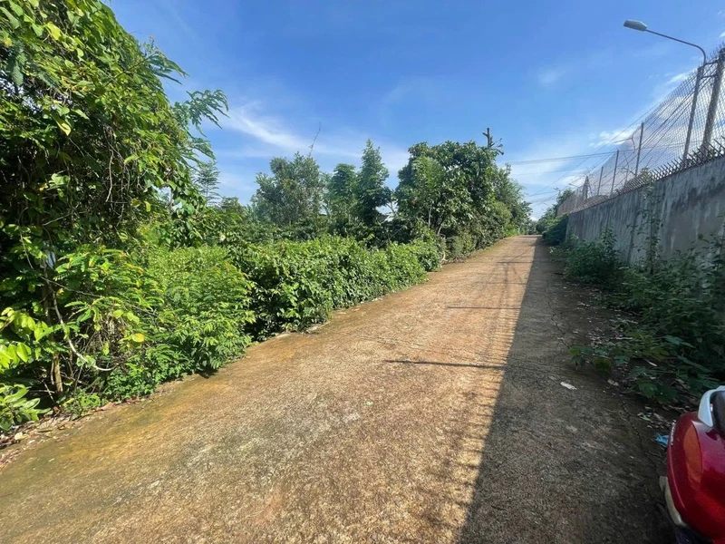 Bán đất 10x48m (thổ cư 60m2) giá 999 triệu mặt tiền đường nhựa tại Buôn Tăng Jú, Phường Ea Kao, Đắk Lắk