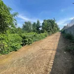 Bán đất 10x48m (thổ cư 60m2) giá 999 triệu mặt tiền đường nhựa tại Buôn Tăng Jú, Phường Ea Kao, Đắk Lắk - Ảnh thu nhỏ 1