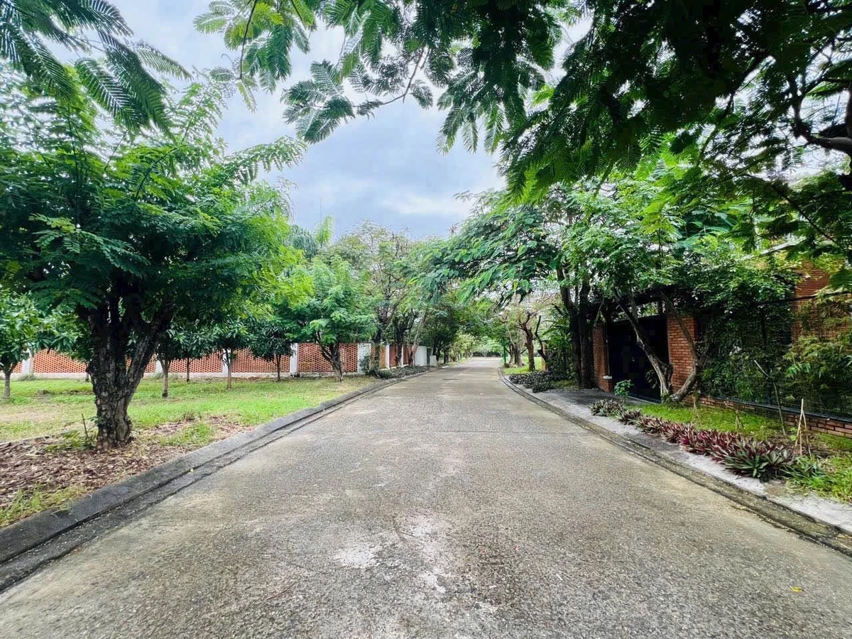 Bán đất biệt thự 550m² Giáng Hương Nha Trang 9,625 tỷ - Ảnh thu nhỏ 4