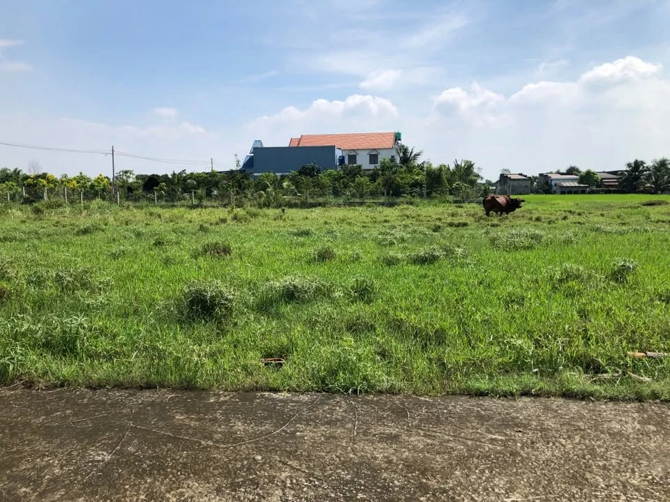 Bán lô đất 100m² tại xã Mỹ Hạnh, Tây Ninh - 800 triệu - Ảnh thu nhỏ 2