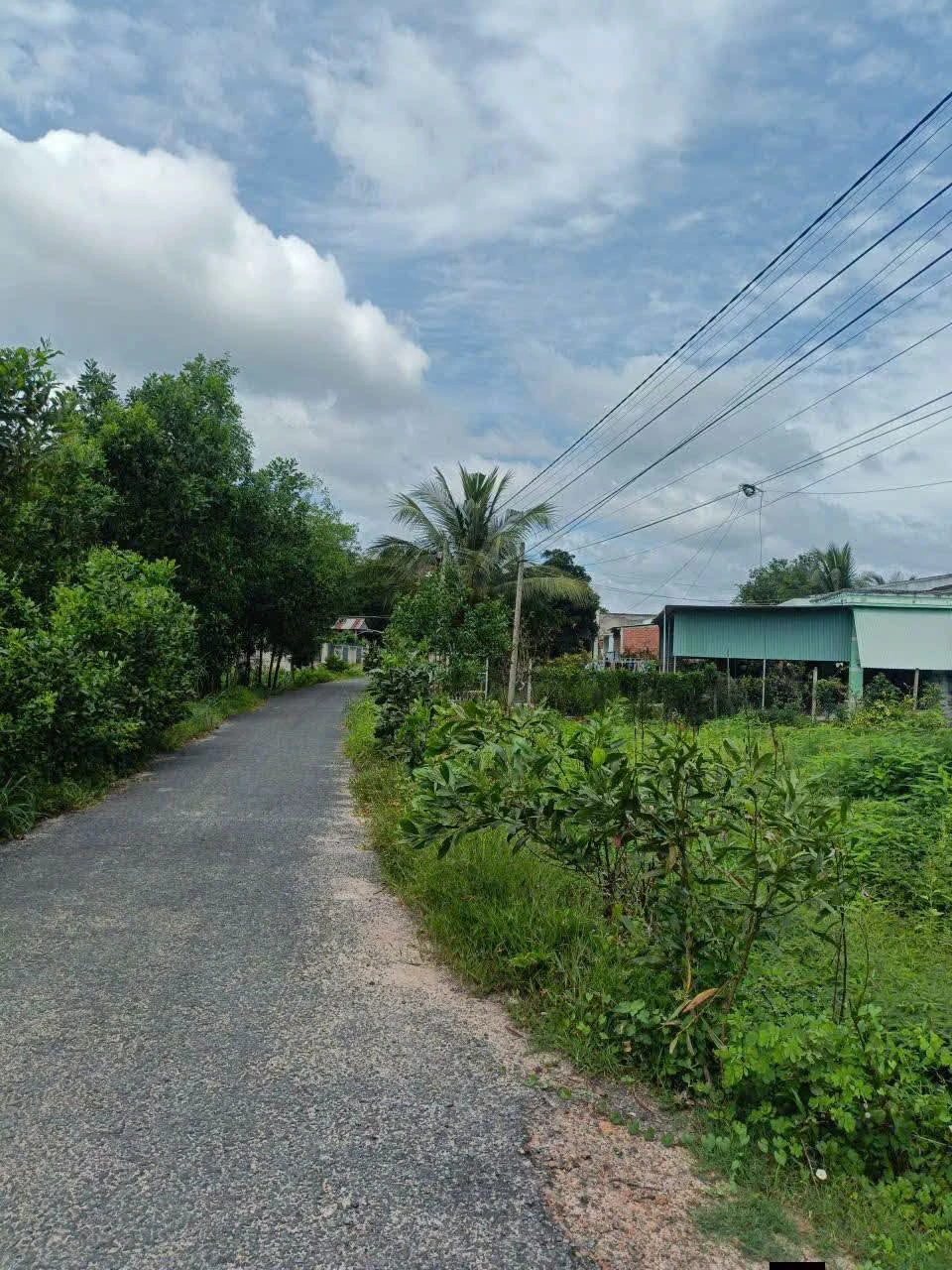 Bán đất mặt tiền đường nhựa 100m2 tại Thạnh Bình, Tân Biên, Tây Ninh - Ảnh 1