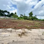 Bán đất Đá Mi 80m² Nhà Bè 580 triệu - Ảnh thu nhỏ 3