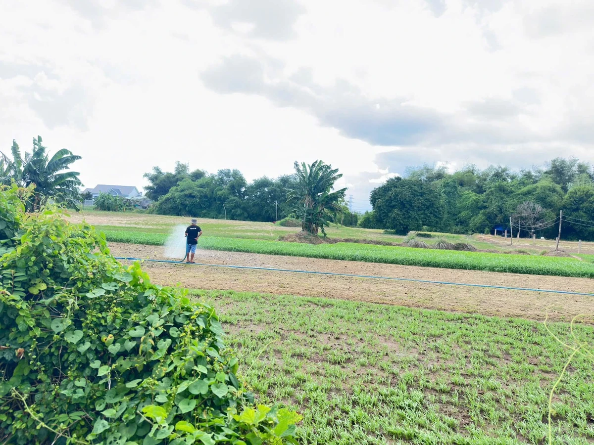 Bán lô đất 12.345m2 tại Hàm Thắng, Lâm Đồng - Ảnh thu nhỏ 2