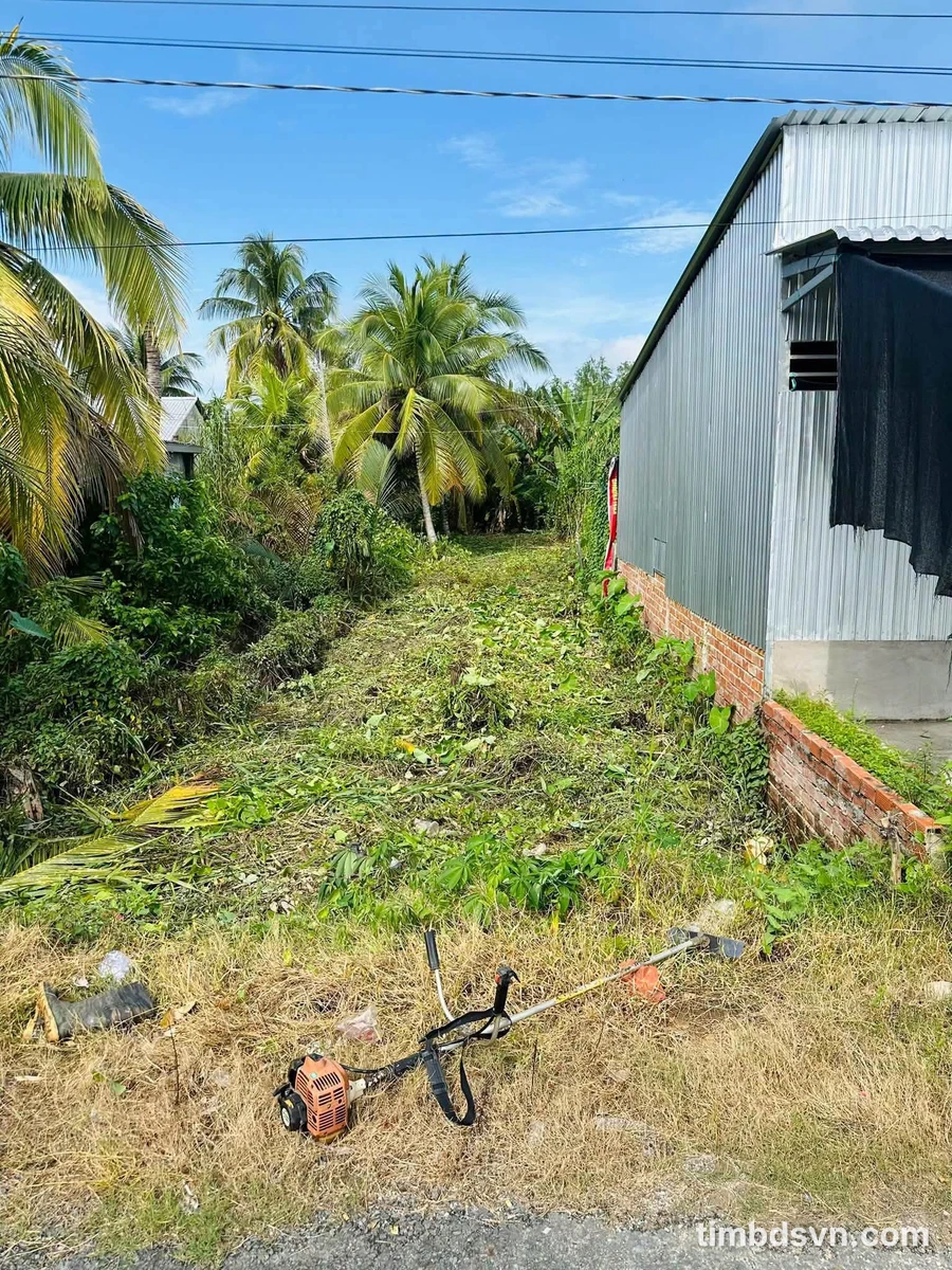 Bán đất nền 200m² lộ nhựa Mỹ Thuận, Bình Tân 390 triệu - Ảnh thu nhỏ 2