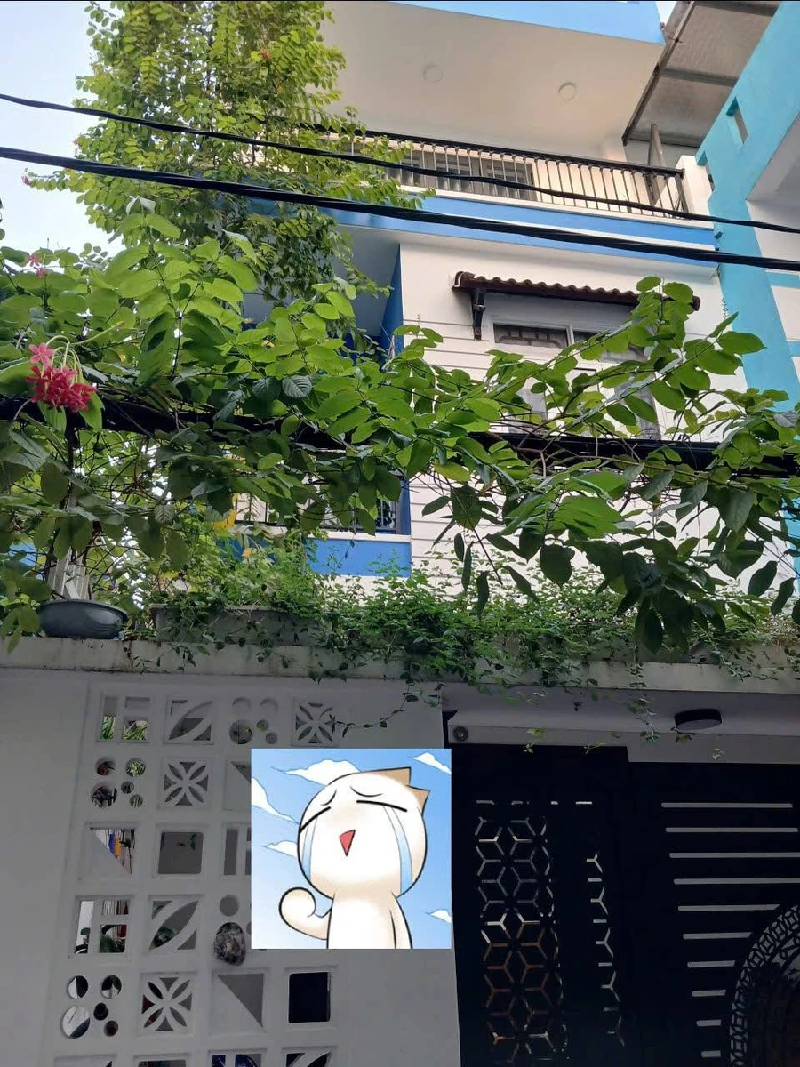 Bán nhà 2 tầng rưỡi 85m2 Hà Huy Tập Thanh Khê Đà Nẵng - Ảnh thu nhỏ 2