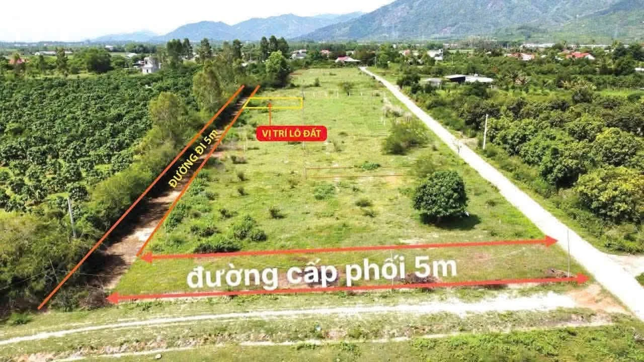 Bán đất 80m2 Diên Khánh Nha Trang 400 triệu - Ảnh 1