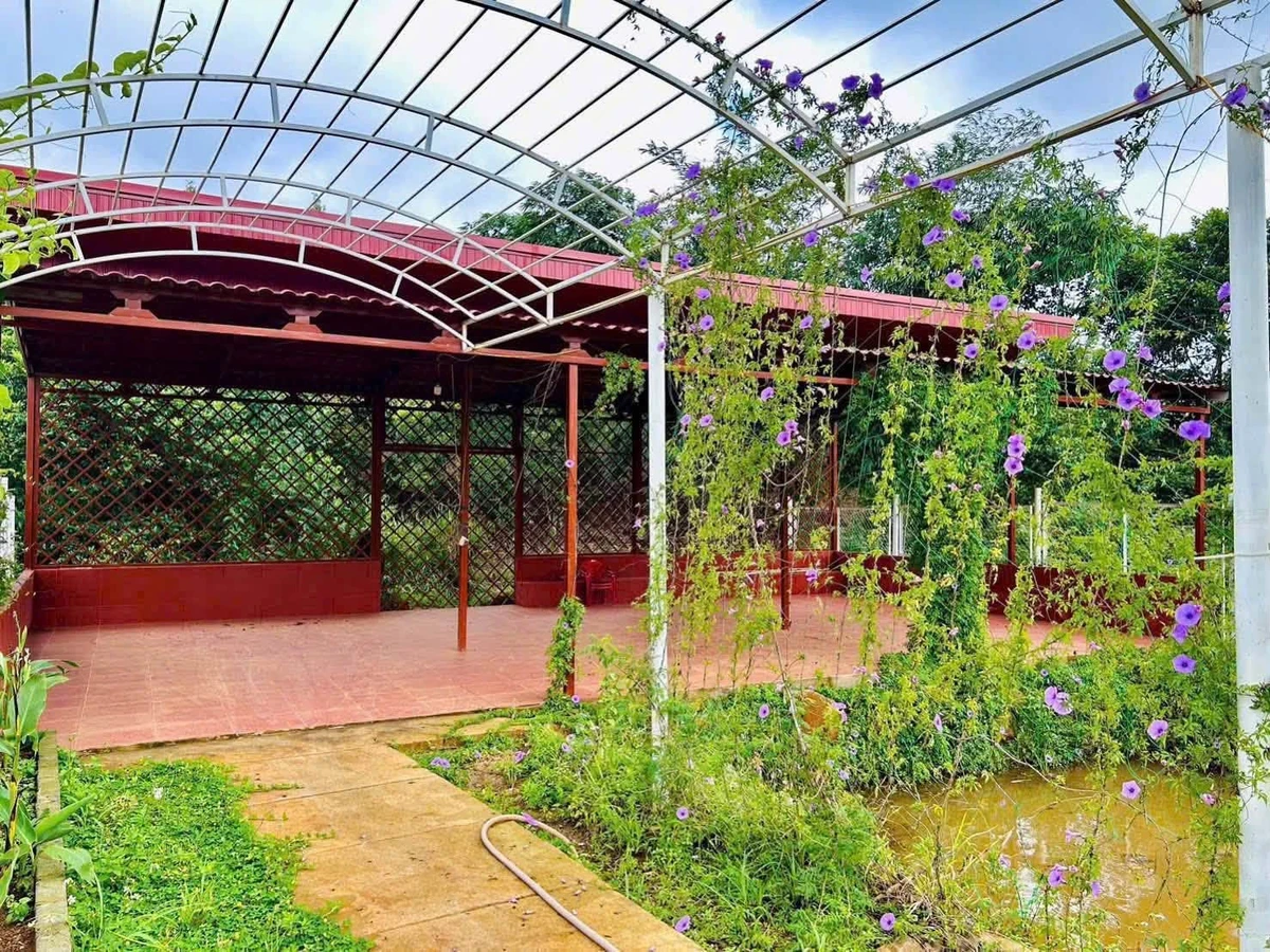Bán đất mặt tiền Phùng Hưng Bảo Lộc 1000m2 - 3.5 tỷ - Ảnh 1