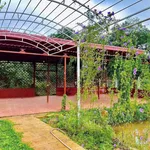 Bán đất mặt tiền Phùng Hưng Bảo Lộc 1000m2 - 3.5 tỷ - Ảnh thu nhỏ 1