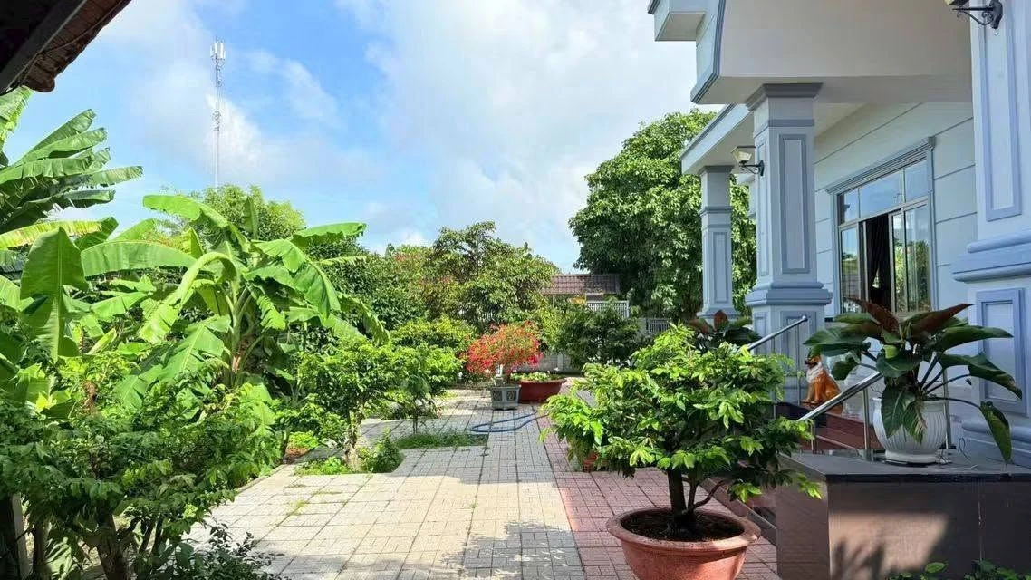 Bán nhà vườn mái Thái 3.869m² Phước Hữu Long Phước Bà Rịa 12.5 tỷ - Ảnh thu nhỏ 5