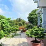 Bán nhà vườn mái Thái 3.869m² Phước Hữu Long Phước Bà Rịa 12.5 tỷ - Ảnh thu nhỏ 5