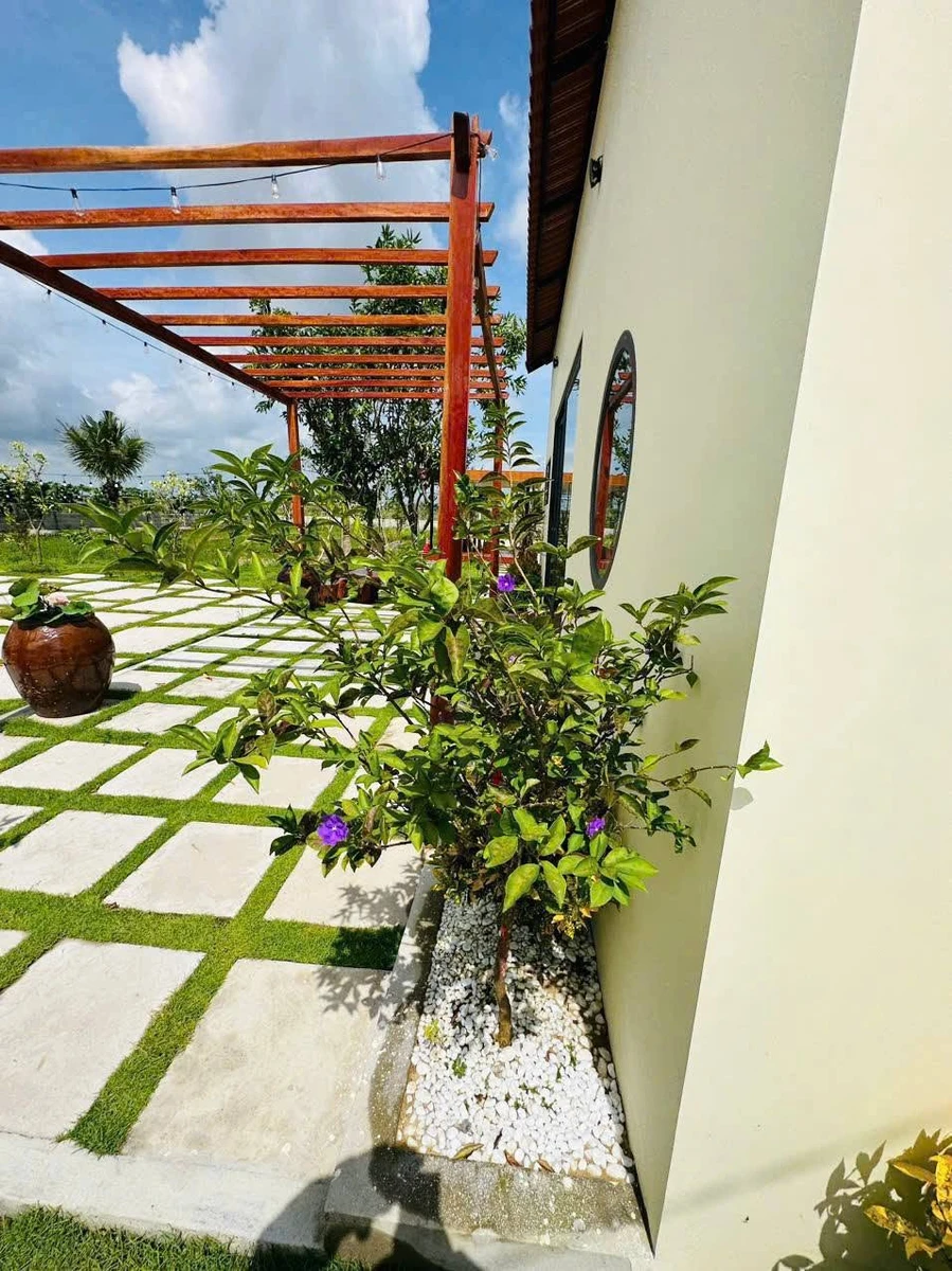 Bán nhà vườn 1800m² gần Phan Thiết 2 tỷ 2 - Ảnh thu nhỏ 3