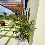Bán nhà vườn 1800m² gần Phan Thiết 2 tỷ 2 - Ảnh thu nhỏ 3
