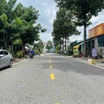 Bán đất TDC Hoà Lợi 100m² thổ cư 100% - Ảnh thu nhỏ 4