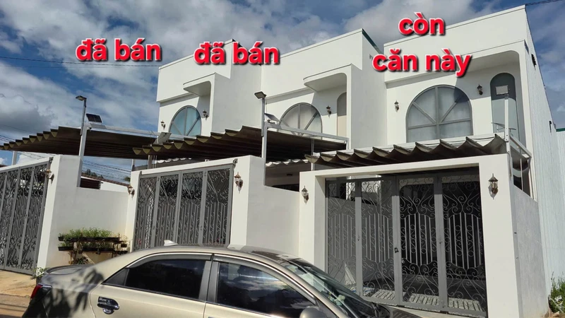Bán đất lúa 1000m² mặt tiền D1 Thanh Phú Bến Lức tdp15