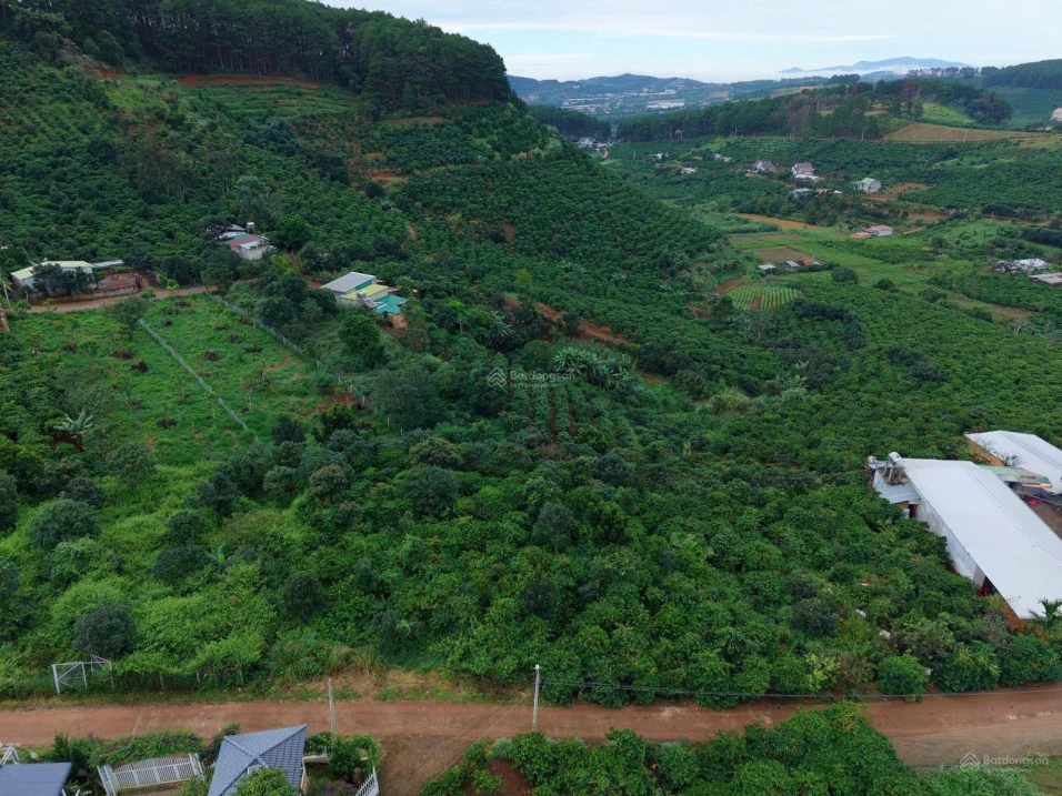 Bán đất vườn, sẵn thổ cư tại Mê Linh ngoại ô Đà Lạt - Ảnh thu nhỏ 3