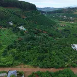 Bán đất vườn, sẵn thổ cư tại Mê Linh ngoại ô Đà Lạt - Ảnh thu nhỏ 3