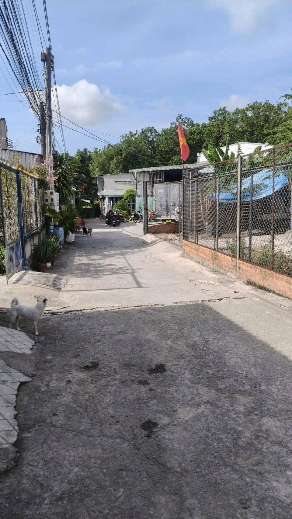 Bán lô đất Tân Uyên 550m² 3.8 tỷ - Ảnh 1