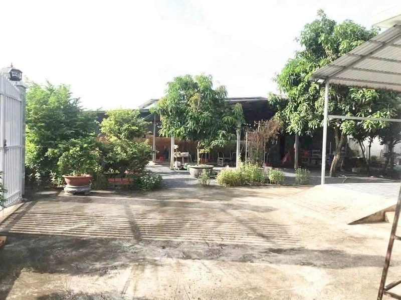 Bán nhà vườn 726m² 2PN Phường Long An Tây Ninh 6 tỷ