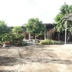 Bán nhà vườn 726m² 2PN Phường Long An Tây Ninh 6 tỷ - Ảnh thu nhỏ 1