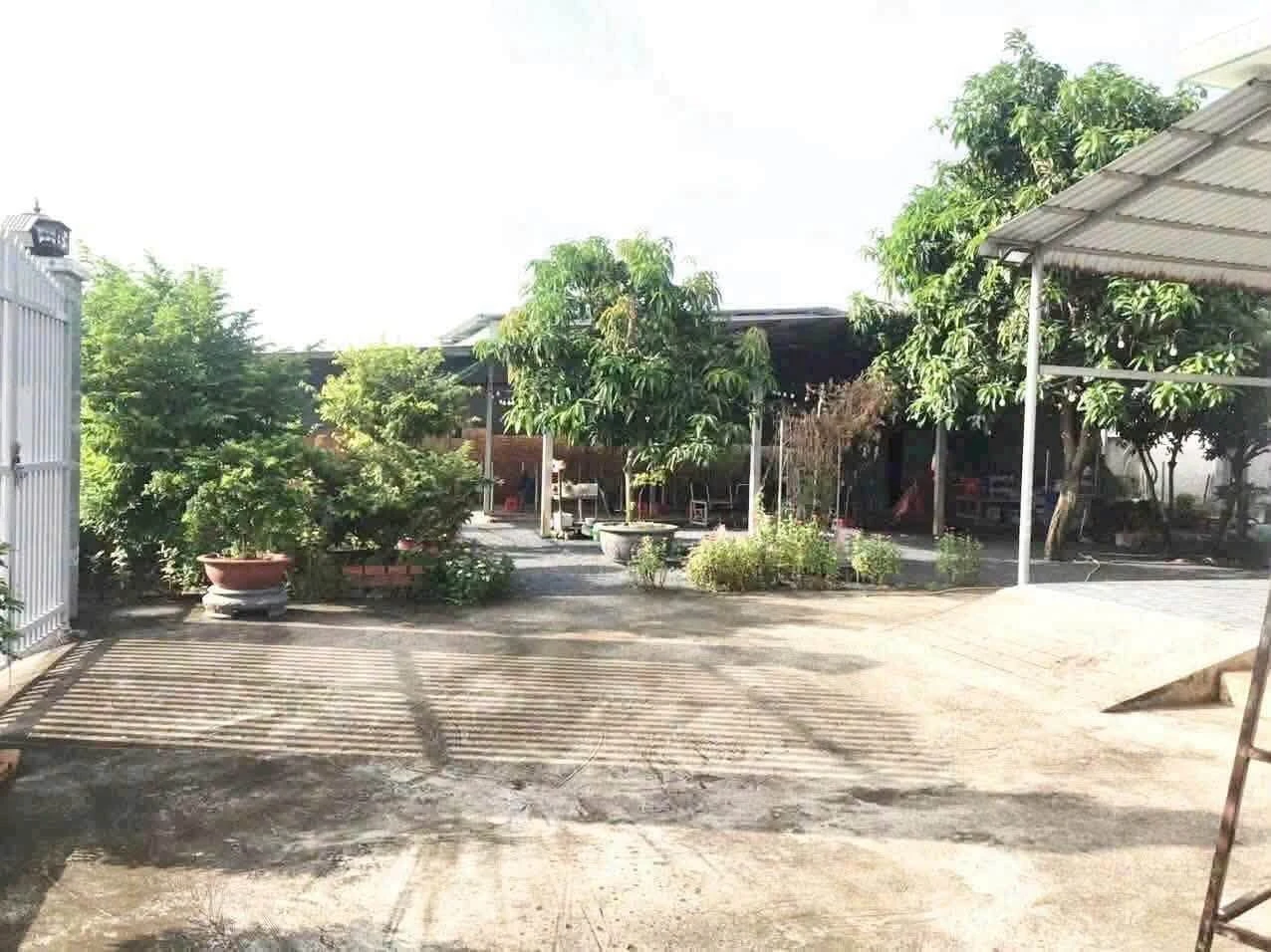 Bán nhà vườn 726m² 2PN Phường Long An Tây Ninh 6 tỷ - Ảnh 1