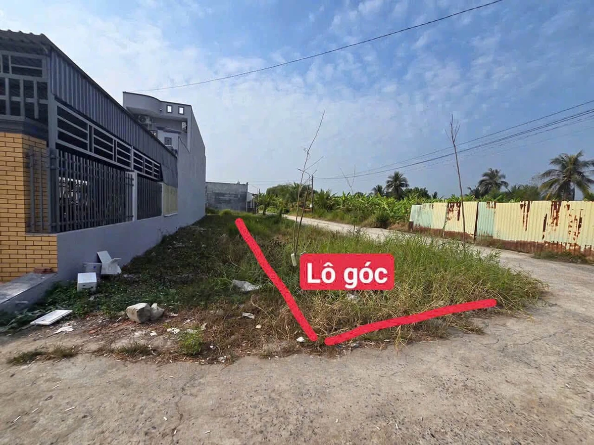 Bán đất thổ cư 140m² Cần Dước, Long An - Ảnh thu nhỏ 2
