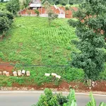 Bán đất mặt tiền đường 725 Tà Nung 1000m², Cam Ly, Nha Trang - Ảnh thu nhỏ 4