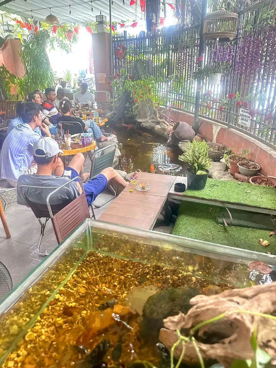 Bán nhà 2 tầng 183,7m² đường 10m Đà Nẵng 13,5 tỷ - Ảnh thu nhỏ 5