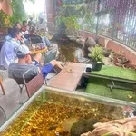 Bán nhà 2 tầng 183,7m² đường 10m Đà Nẵng 13,5 tỷ - Ảnh thu nhỏ 5
