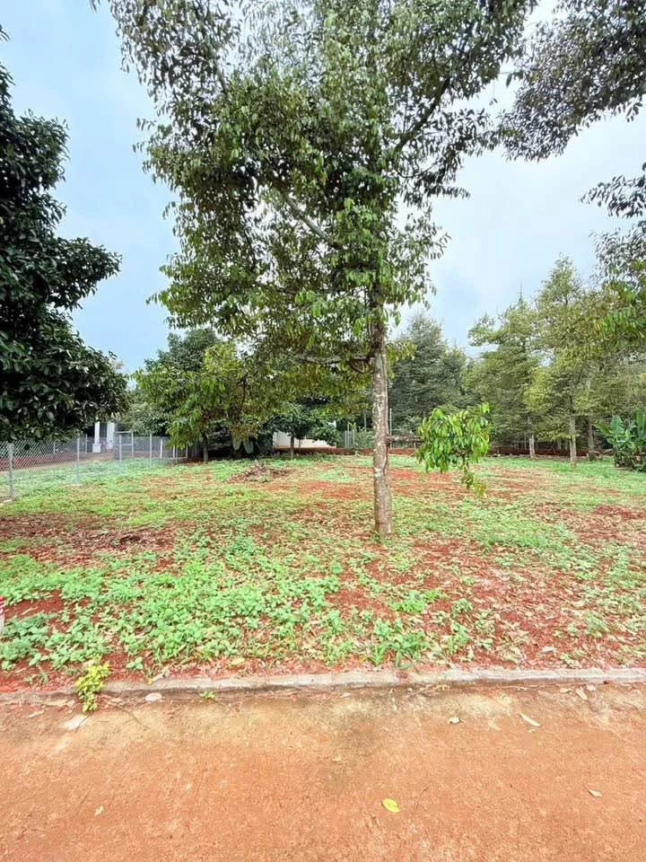 Bán đất full thổ cư Hàng Gòn 100m² – 610 triệu - Ảnh thu nhỏ 4
