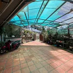Bán đất đường Quang Trung Đà Lạt 278m2, 15.5 tỷ - Ảnh thu nhỏ 5