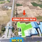 Bán đất nền 4198m² mặt tiền Quốc lộ 1A Hàm Kiệm 6,3 tỷ - Ảnh thu nhỏ 3