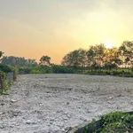 Bán lô đất 7x18m sổ riêng Bình Dương 930 triệu - Ảnh thu nhỏ 4