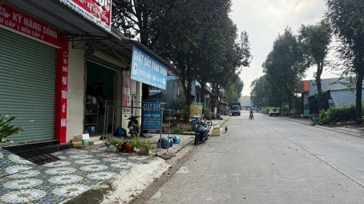 Bán đất 300m² mặt tiền khu đô thị Mỹ Phước 3 - Ảnh thu nhỏ 3