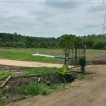 Bán đất vườn 1000m² TP Đồng Nai chỉ 380 triệu - Ảnh thu nhỏ 4