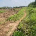 Bán đất cây trồng 2200m2 Hàm Hiệp, Bình Thuận - Ảnh thu nhỏ 2