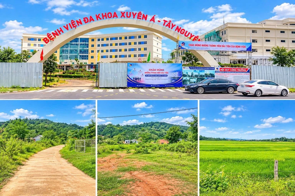 Bán đất 3800m² gần Bệnh viện Xuyên Á, Lâm Đồng, 2,3 tỷ - Ảnh 1