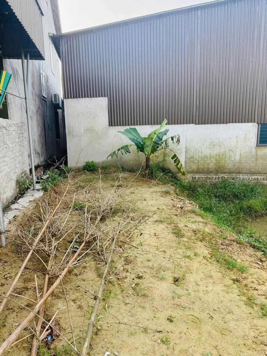 Bán lô đất 100,6m² 2 mặt tiền Vinh Lộc, Nghệ An - Ảnh thu nhỏ 4