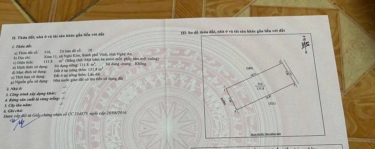 Bán nhanh lô đất 132m2 mặt tiền Nhân Nghĩa 4 tỷ - Ảnh 1