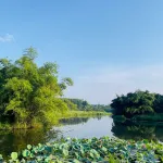 SIÊU PHẨM LẠC THỦY - GIÁP NINH BÌNH - CÁCH HÀ NỘI 65KM - Ảnh thu nhỏ 17
