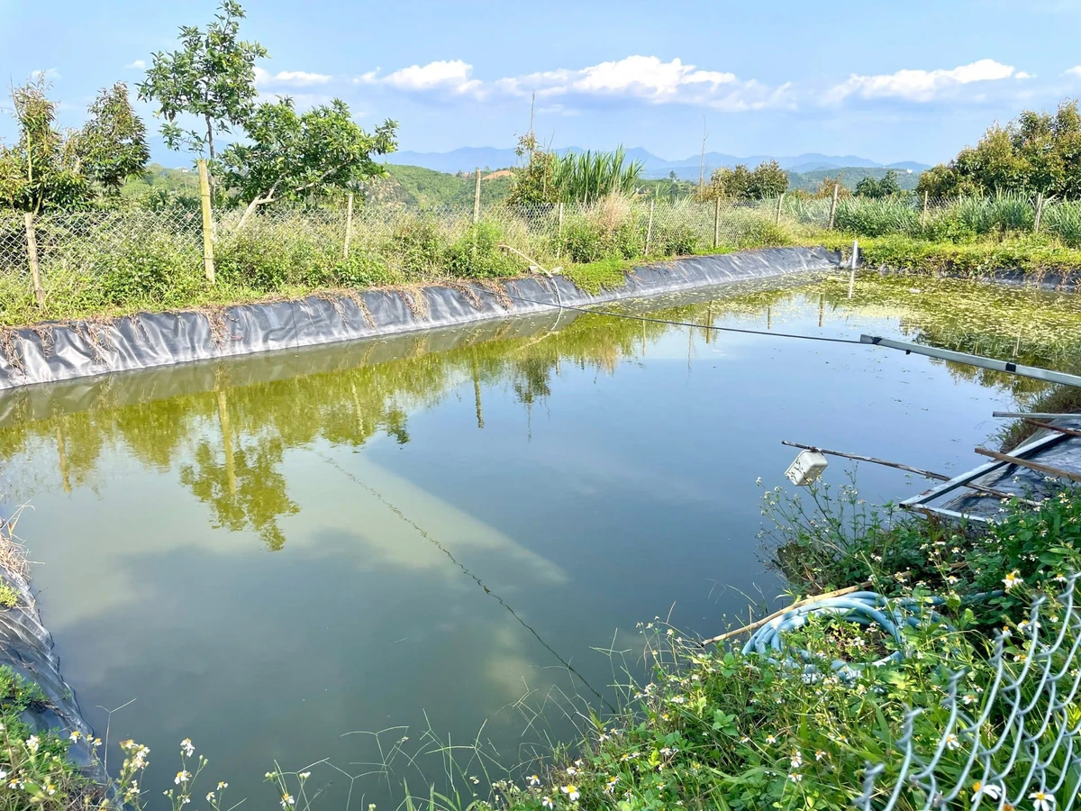 Bán 2000m² đất vườn sầu riêng Bảo Lộc, 1,3 tỷ - Ảnh thu nhỏ 2