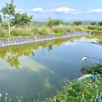 Bán 2000m² đất vườn sầu riêng Bảo Lộc, 1,3 tỷ - Ảnh thu nhỏ 2