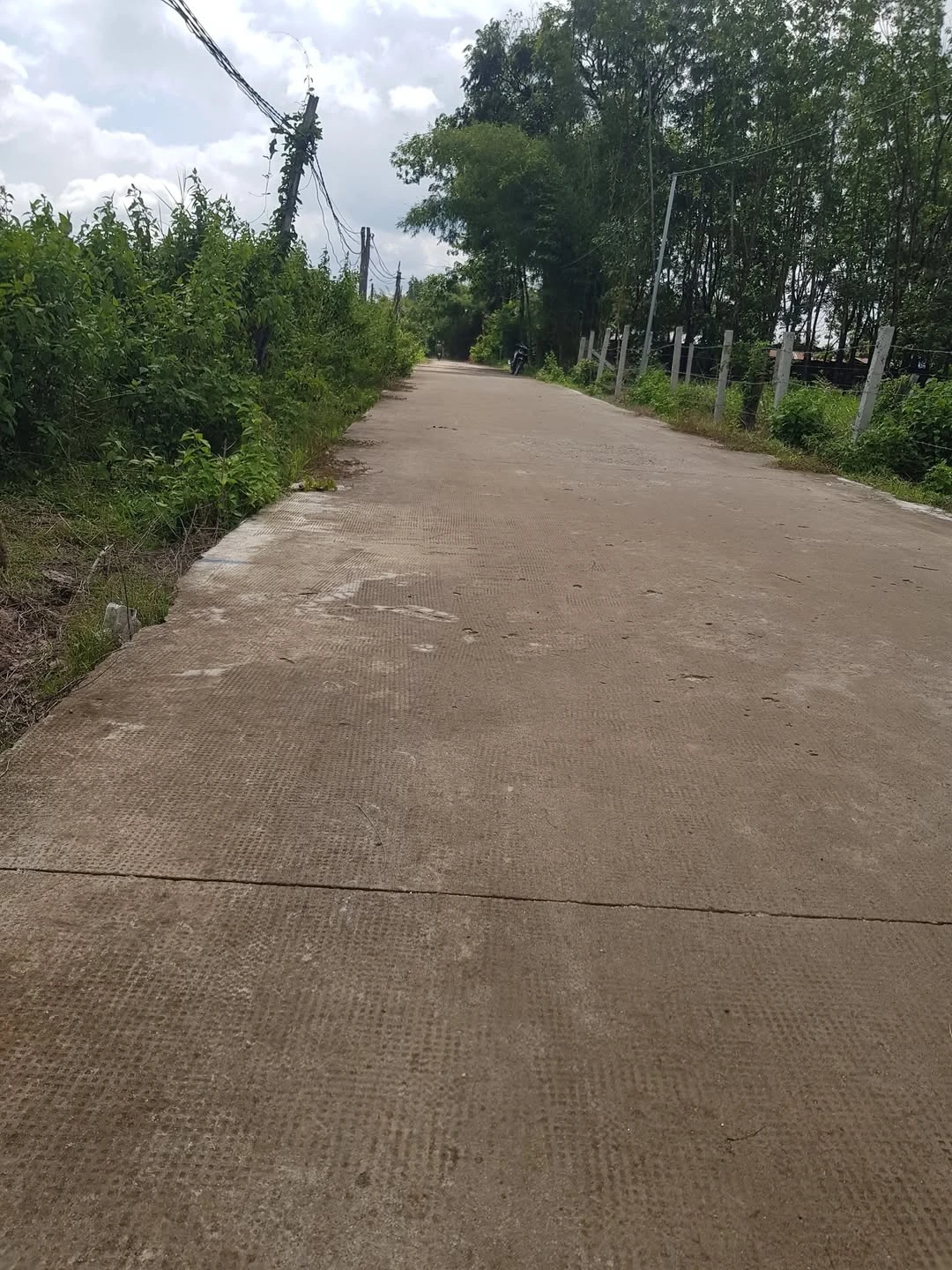 Bán đất nền Lộc Ninh, Bình Phước 2400 m², 280 triệu - Ảnh 1
