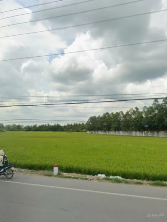 Bán đất 14.244m2 mặt tiền QL1A Tam Bình Vĩnh Long siêu hiếm gần cầu Cần Thơ - Ảnh thu nhỏ 3