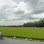 Bán đất 14.244m2 mặt tiền QL1A Tam Bình Vĩnh Long siêu hiếm gần cầu Cần Thơ - Ảnh thu nhỏ 3