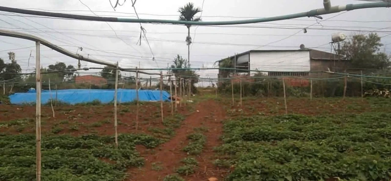 Bán 4.5 sào đất vườn Đức Trọng, Lâm Đồng, 90m mặt tiền, 5 tỷ