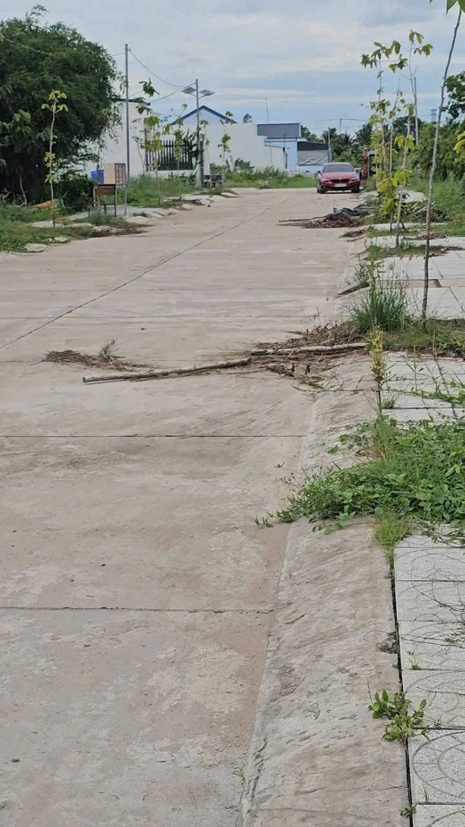 Bán nền đất 110m² tại 379 Quang Trung 600 triệu - Ảnh thu nhỏ 2