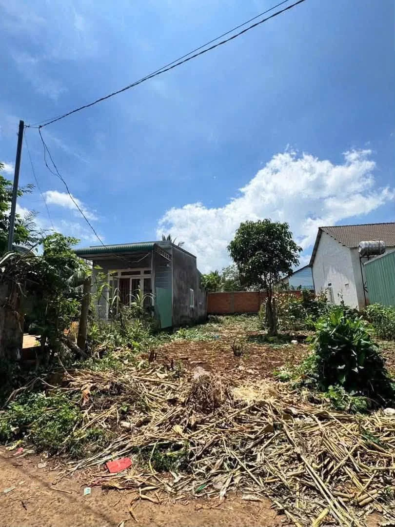 Bán đất thổ cư 100m² Buôn Ma Thuột 1 tỷ 750 - Ảnh thu nhỏ 3