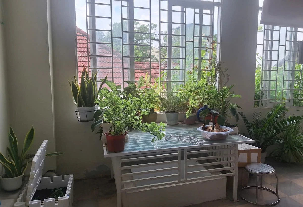 Bán nhà 5 tầng 148m² Nha Trang, 25 tỷ - Ảnh thu nhỏ 4