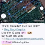 Bán đất nền 200m² mặt tiền 10m Bình Tân gần chợ Tân Phước - Ảnh thu nhỏ 2