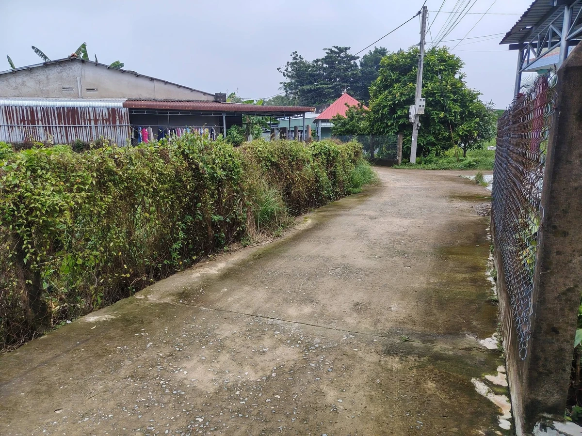 Bán đất thổ cư 110m² Tầm Vu, Châu Thành, Long An 495 triệu - Ảnh thu nhỏ 2